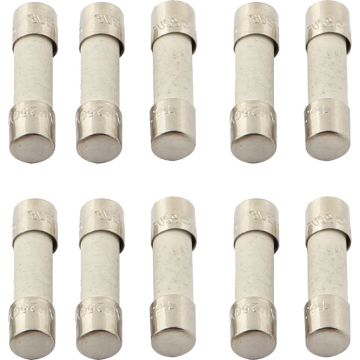 Zekering 6.3AT L250V motor doos 10x CAS ECO-fan 1100/2500